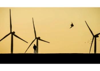 „Mit 40 Prozent ist der Umweltschutz das mit Abstand wichtigste Thema für die Europäer“